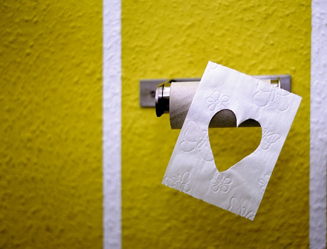 Toiletpapirholderens hemmeligheder: Fascinerende fakta og historier om en overset genstand