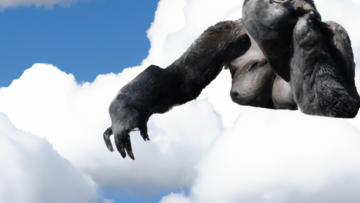Sådan drager du fordel af Gorillas rabatkoder